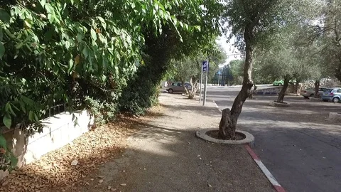 Jerusalem Stroll 3 Stock Footage 78720211