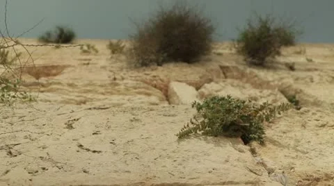 Jerusalem Wailing Wall low angle Video stock 11239094