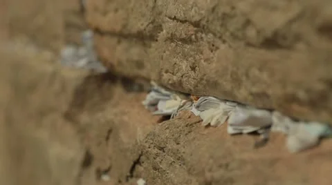 Jerusalem Wailing Wall notes Stock-Footage 11239273