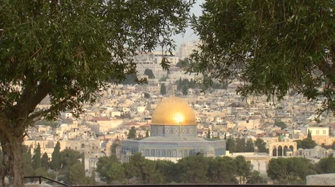 Jerusalem's Dome of the Rock framed by olive trees Stock Footage 65017410
