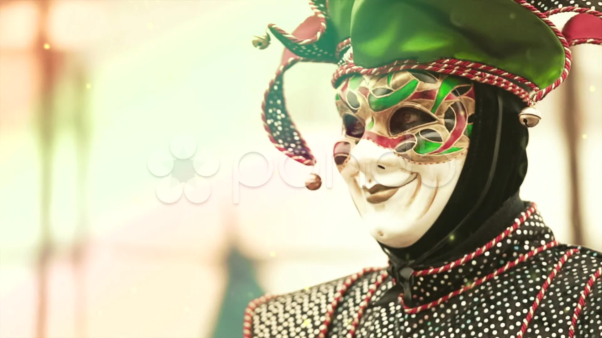 venetian jester costume