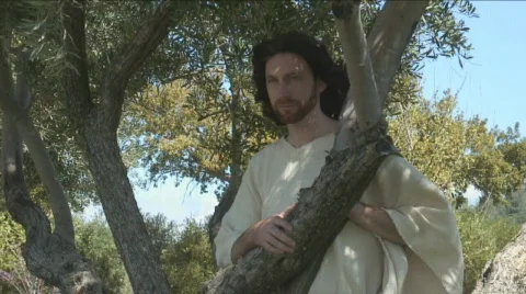 Jesus 5 Stock Footage 442831