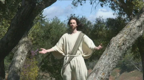 Jesus Among Windy Trees Stock Footage 473658