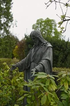 Jesus in the bush Foto stock