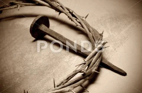 Jesus christ crown of thorns and nail Stock Photos