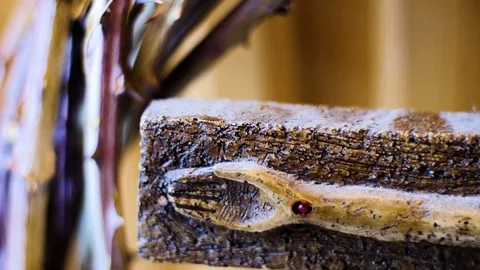 Jesus Christ Stock Footage 85067653