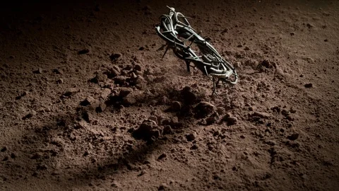 Jesus' crown of thorns falling onto dusty surface.  Shot with Phantom Flex 4K Stock Footage 130357167