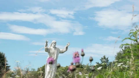 Jesus in the meadow Stock Footage 134450244