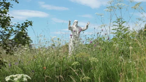 Jesus in the nature Stock Footage 134450351