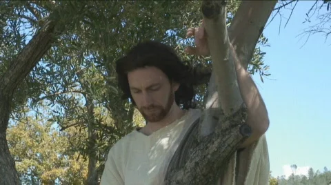Jesus in the Olive Trees Stock Footage 452550