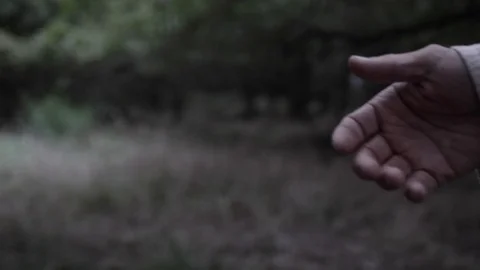 Jesus or robed man holds out his hand. The scene takes place in a forest Stock Footage 119563845