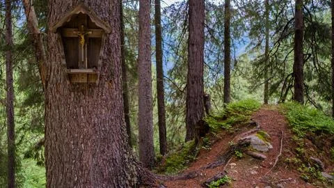 Jesus on a pine tree Stock Photos