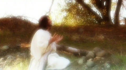 Jesus Prays Stock Footage 362809