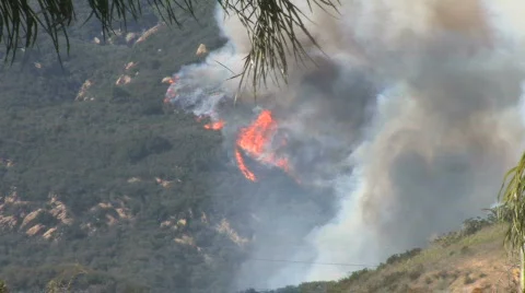 Jesusita Fire: Flames (Zoom in; HD) Stock Footage