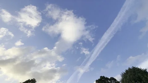 Jet contrail over green trees panning 库存影片 335541826