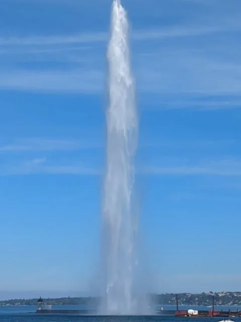 Jet d'Eau Video stock 217479016