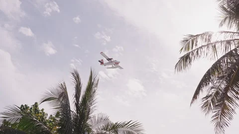 Jet Flies Through Palm Trees Stock Footage 291807315