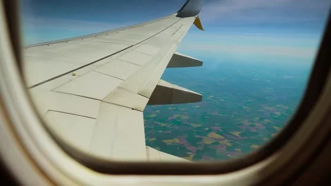 Jet flying above patchwork farmland with scattered fields, view from window Stock Footage 317543325