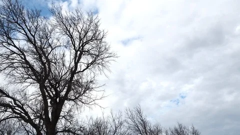 Jet passes overhead Stock Footage 118724813