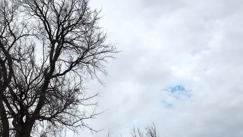 Jet passes overhead Stock Footage 118724839