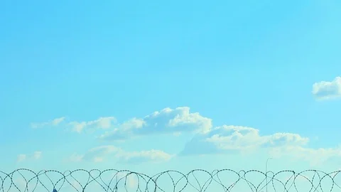 Jet Plane 11 Stock Footage 118833059