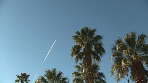 Jet Plane Flying Over Desert Palm Trees Time Lapse Stock Footage 10733635