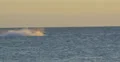 Jet ski on the Atlantic ocean in Miami Beach, Florida 4k or 4k+ Resolution