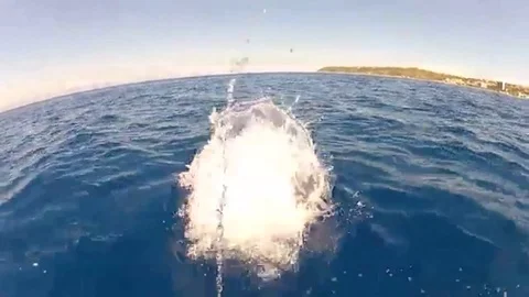 Jet ski back view Stock Footage 98248063