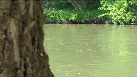 Jet ski 库存影片 8976027