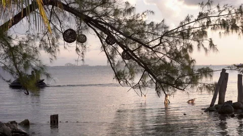 Jet ski passing by a beach with trees, Isla Mujeres Mexico Stock Footage 152940446