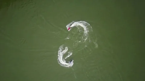 Jet ski on river Stock Footage 77709299