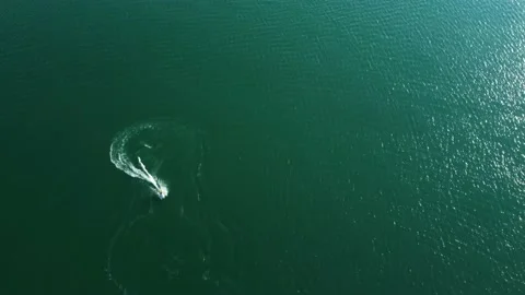Jet ski in the sea Stock Footage 237854544