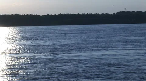 Jet skier silhouette 3 Stock Footage 7751553