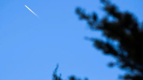 Jet Stream Coming Off a Plane with Pine Branches in the Foreground Fotos de archivo