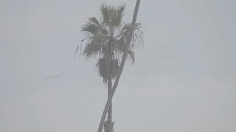 Jet Takeoff 13 Stock Footage 100284859