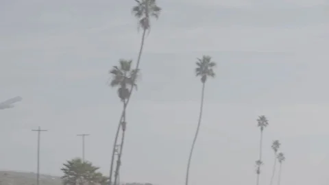 Jet Takeoff 14 Stock Footage 100284914