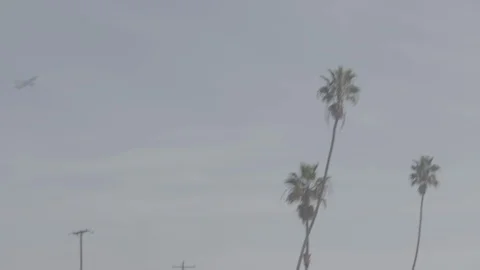 Jet Takeoff 19 Stock Footage 100282474