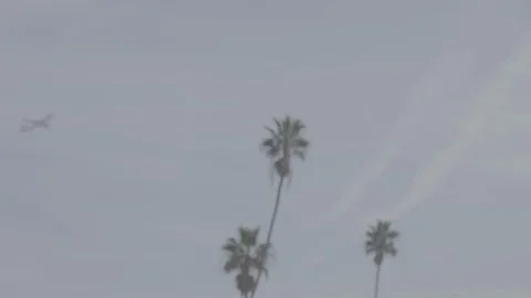 Jet Takeoff 24 Stock Footage 100281619