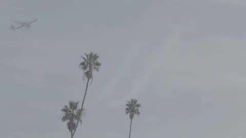 Jet Takeoff 25 Stock Footage 100281419