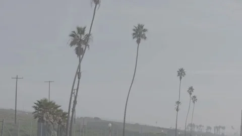 Jet Takeoff 27 Stock Footage 100280555