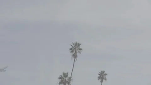 Jet Takeoff 29 Video stock 100279931