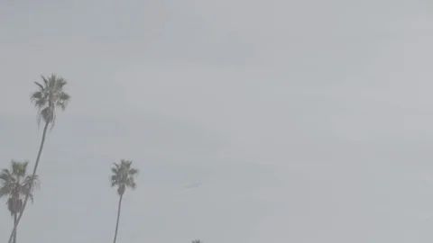 Jet Takeoff 33 Stock Footage 100279287