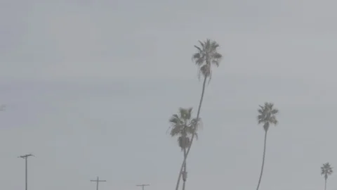 Jet Takeoff 34 Stock Footage 100279156