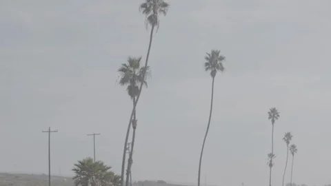 Jet Takeoff 9 Stock Footage 100297435