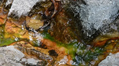 Jet of water Video stock 103305807