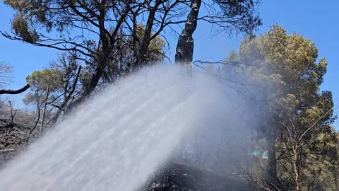 A jet of water is forcefully directed onto the smoldering pine log. Stock Footage 339756366