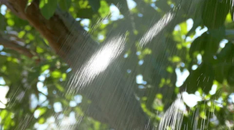 Jet of Water from a Garden Shower 스톡 동영상 41378853
