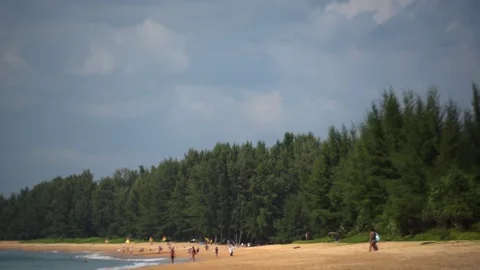 Jetliner Landing Disappears Into Trees Stock Footage 85344623