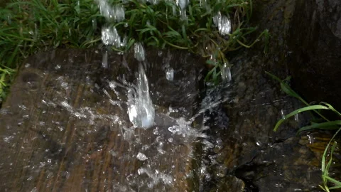 Jets and drops of water fall in slow motion on green grass Stock Footage 115502622