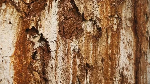 Jets of water run down a rusty muddy wall when it rains. Stock Footage 257915311